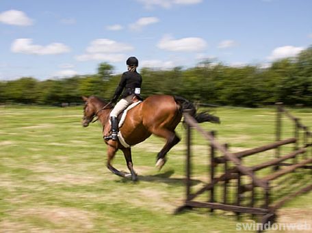 Wanborough Horse and Dog show